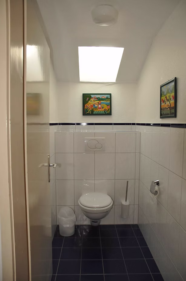 WC mit Dusche und Dachfenster